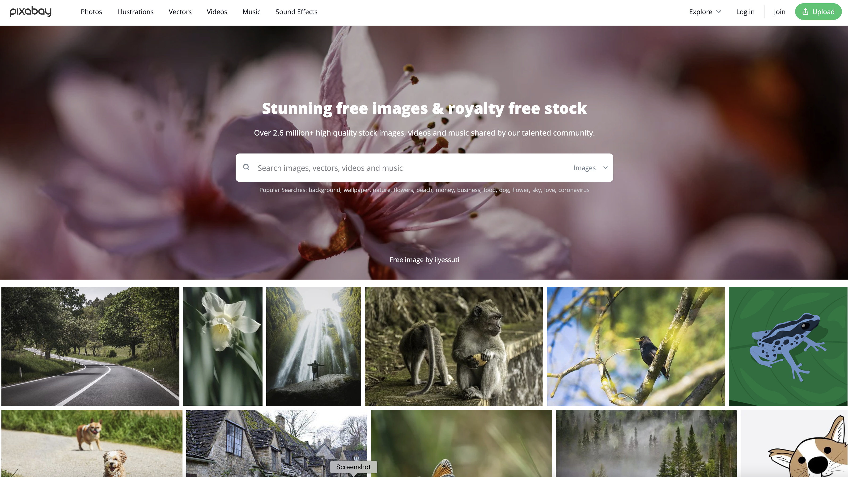 Pixabay free stock photo site for free image sourcing