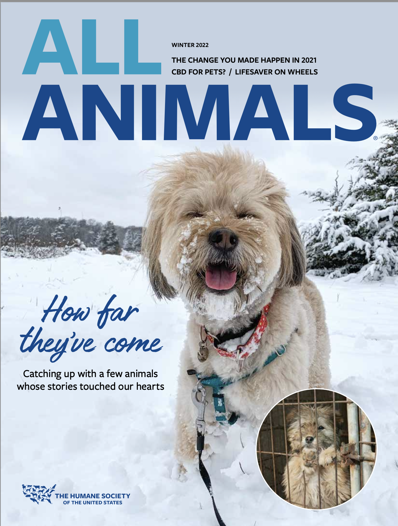 The cover of All Animals magazine